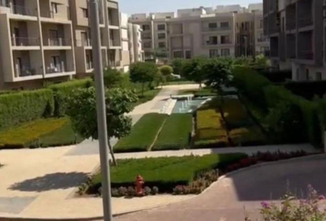 81301428 - صورة العقار 3