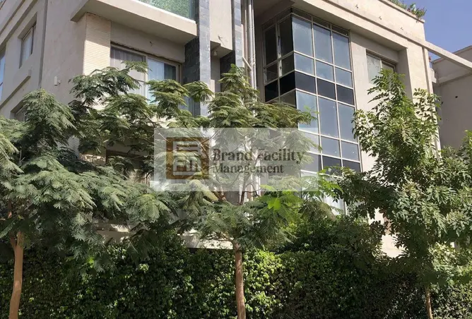 117273309 - Property Image 3