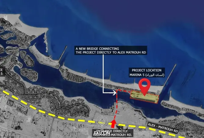 111630381 - Property Image 3
