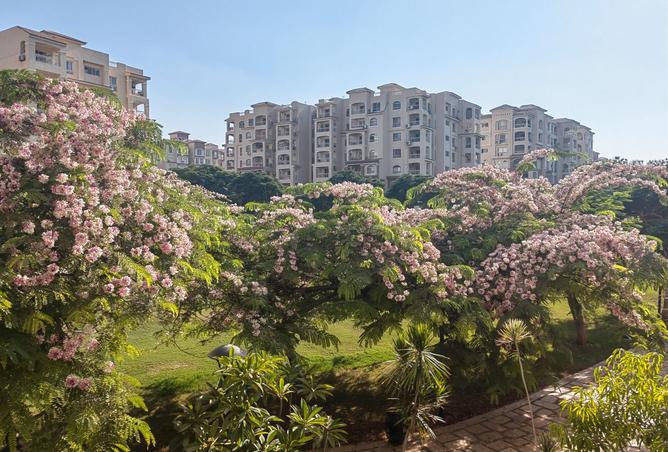 103756588 - الصورة الرئيسية للعقار