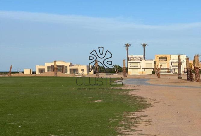 66435806 - صورة العقار 3