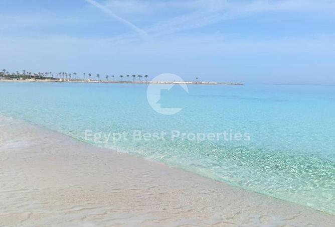80263309 - Property Image 3