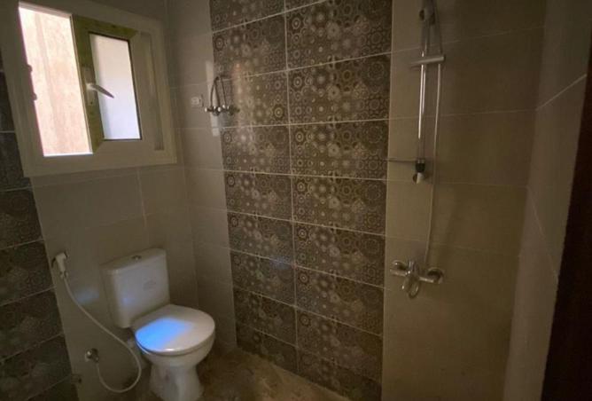 52456779 - Property Image 3