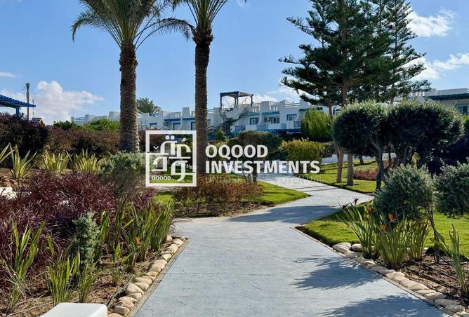 61696579 - صورة العقار 2