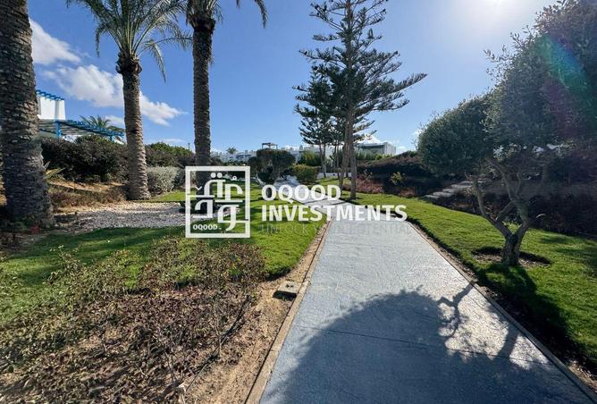 61696579 - صورة العقار 3