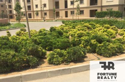 Apartment - 2 Bedrooms - 2 Bathrooms for rent in Mivida - 5th Settlement Compounds - The 5th Settlement - New Cairo City - Cairo Apartment - 2 Bedrooms - 2 Bathrooms for rent in Mivida - 5th Settlement Compounds - The 5th Settlement - New Cairo City - Cairo