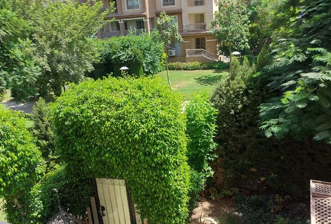 101779061 - Property Image 2