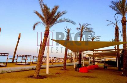 Chalet - 1 Bedroom - 1 Bathroom for sale in The Groove - Al Ain Al Sokhna - Suez