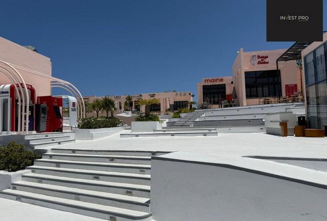 66172618 - صورة العقار 3