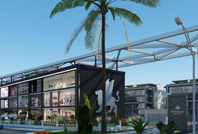 68538567 - صورة العقار 3