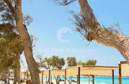 Chalet - 4 Bedrooms - 4 Bathrooms for sale in Marsa Baghush - Qesm Marsa Matrouh - North Coast Chalet - 4 Bedrooms - 4 Bathrooms for sale in Marsa Baghush - Qesm Marsa Matrouh - North Coast