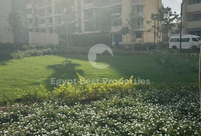 64140898 - Property Image 2