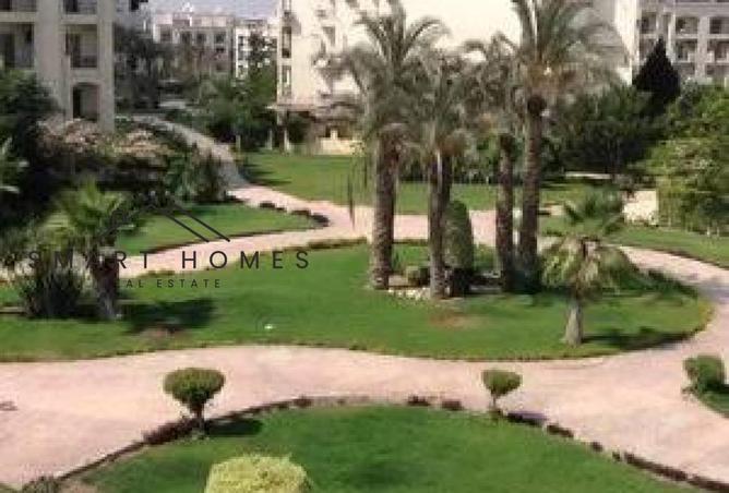 55506784 - Property Main Image