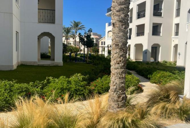 8372638 - صورة العقار 2