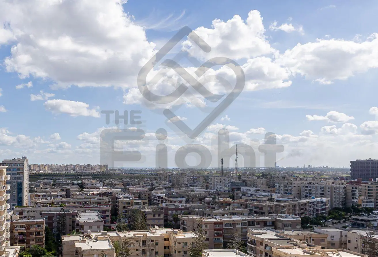 113259111 - الصورة الرئيسية للعقار