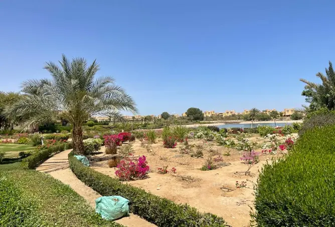 111039910 - صورة العقار 3