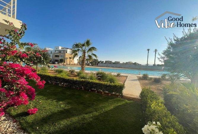 68274757 - Property Image 3