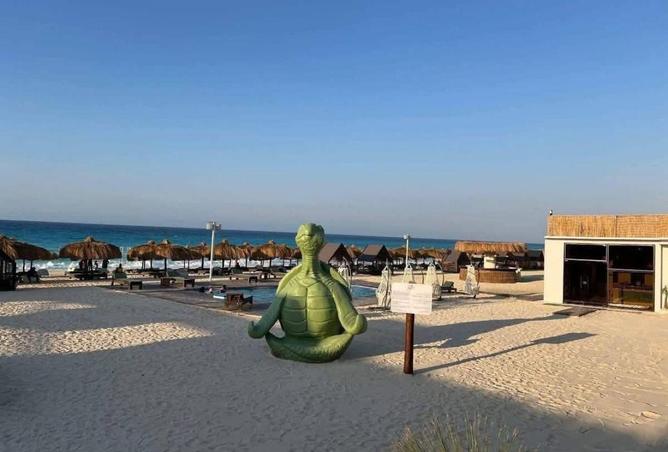 65656159 - صورة العقار 3