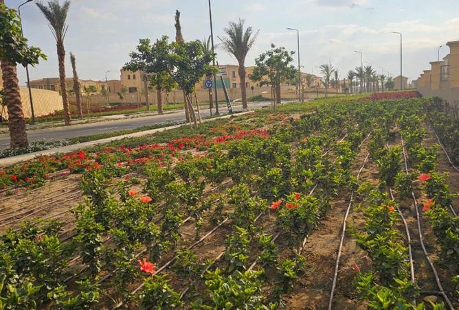 58745723 - صورة العقار 3