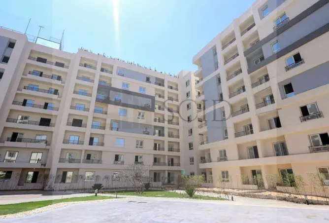 115447851 - صورة العقار 3