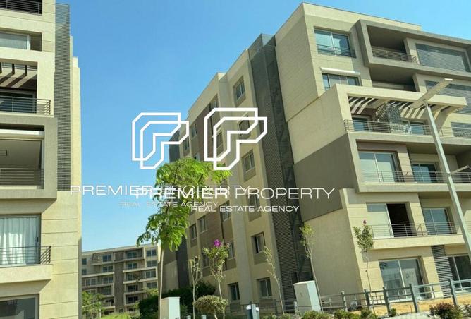 54495446 - Property Image 3