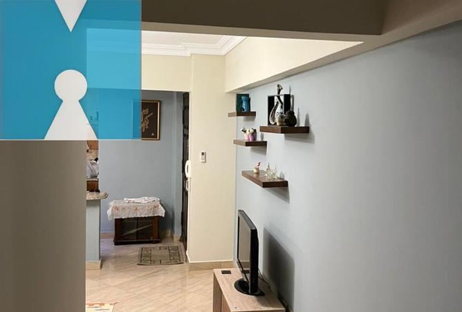 8593276 - Property Image 3