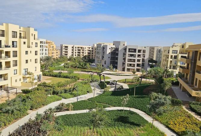 54496665 - صورة العقار 3