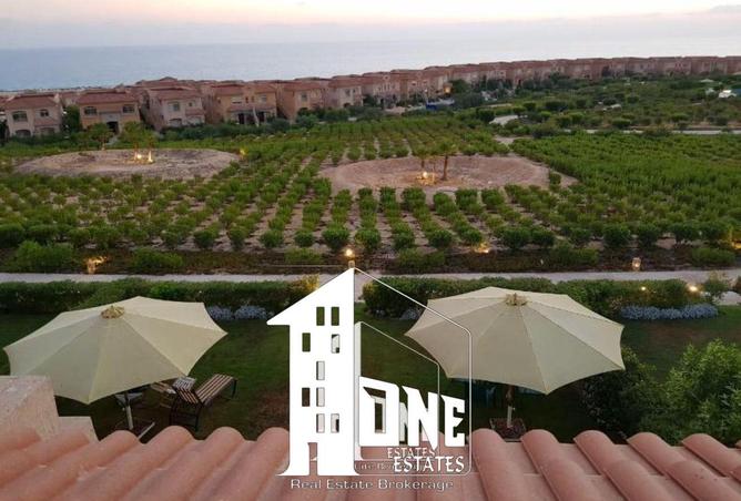 57754747 - صورة العقار 2