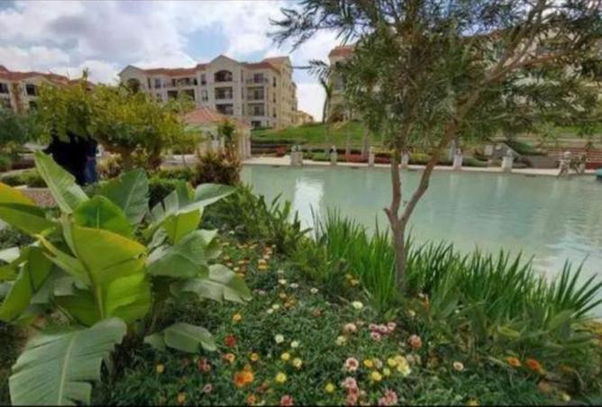 8538869 - Property Image 3