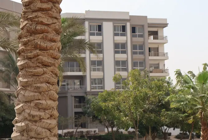 107686560 - Property Image 3