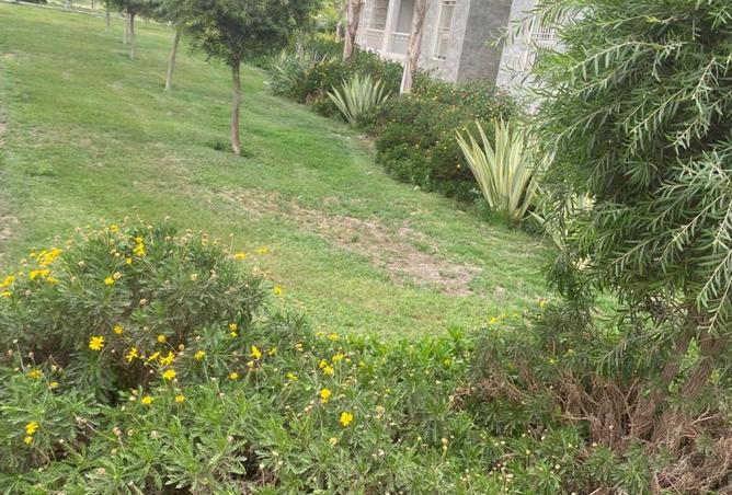 8639891 - Property Image 2