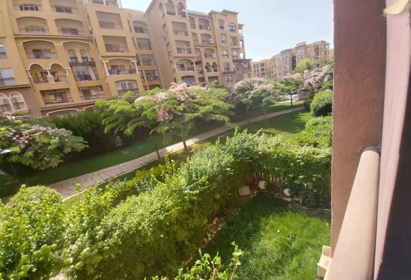 116487014 - الصورة الرئيسية للعقار