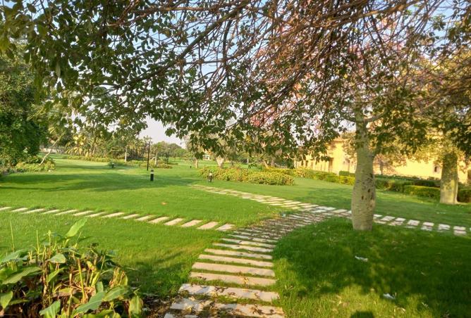 8553985 - Property Image 2