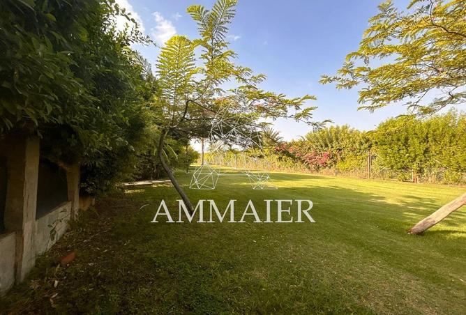 55512421 - Property Image 2