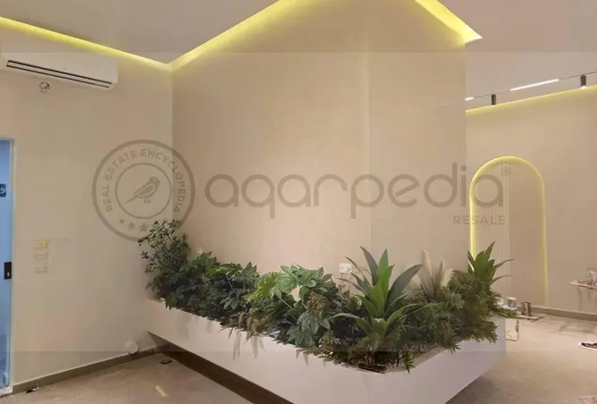112984393 - Property Image 2