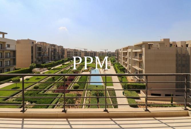 66426667 - Property Image 3