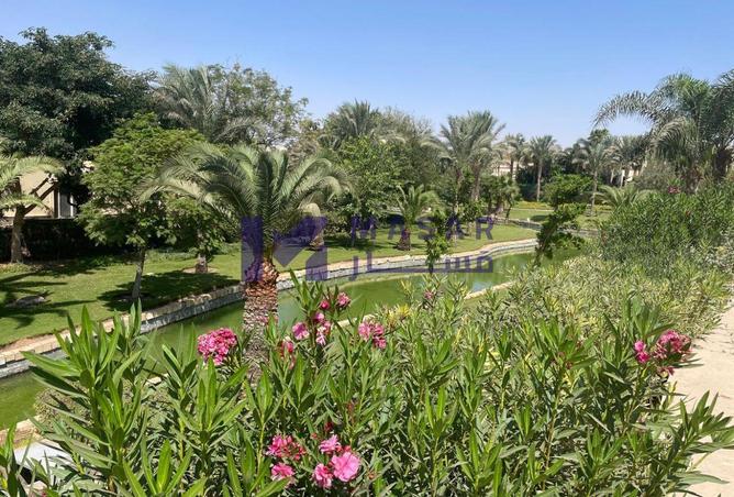 54239229 - صورة العقار 2