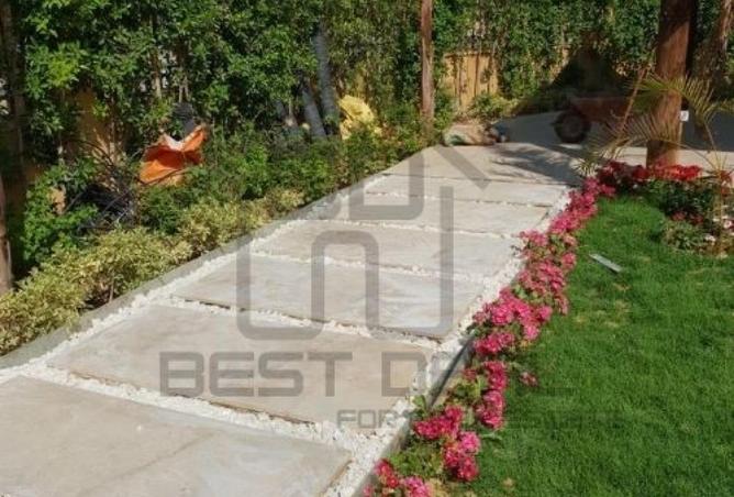 62895336 - صورة العقار 2