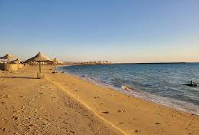 55503399 - Property Image 2