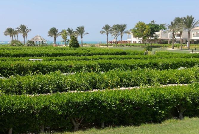 55503399 - Property Main Image