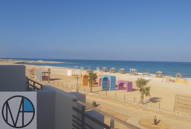 61684274 - صورة العقار 3