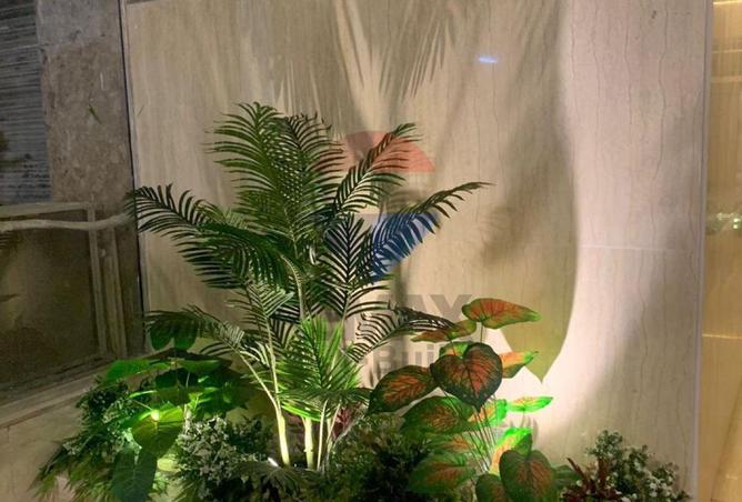 57749219 - صورة العقار 2