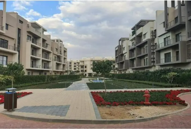 97991168 - صورة العقار 2