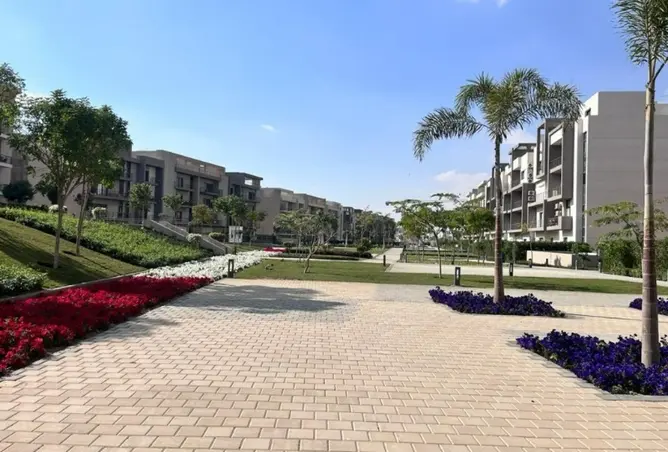 97991168 - صورة العقار 3