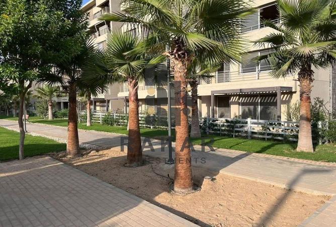 71654881 - Property Image 3