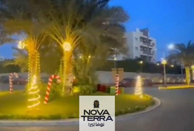 67479181 - Property Image 3