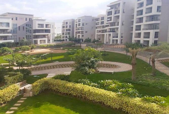 82092538 - Property Image 3