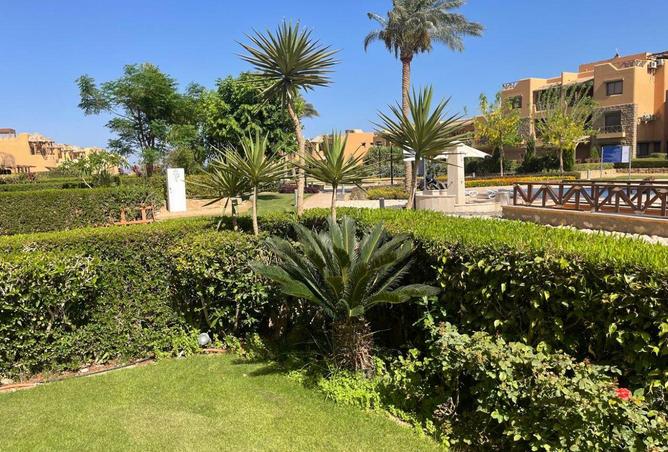 66172959 - صورة العقار 3