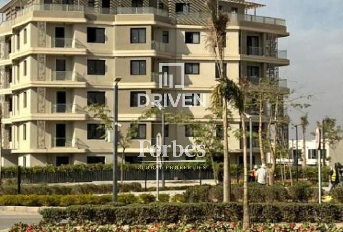 8586150 - Property Image 3