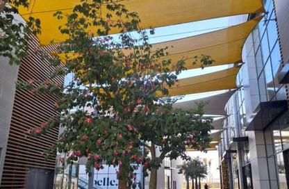 مساحات مكتبية - استوديو - 1 للبيع في سكاى واك - طريق مصر اسكندرية الصحراوي - الجيزة